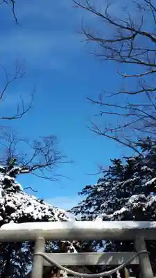 新琴似神社の鳥居