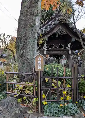 白山神社(東京都)