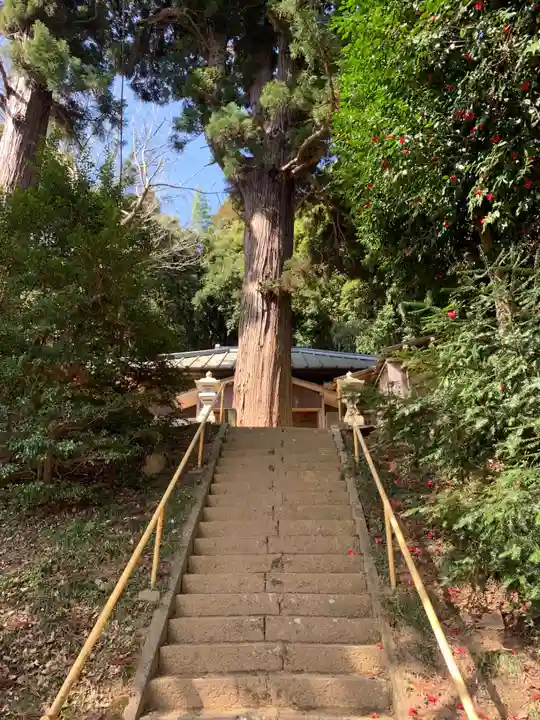 大木戸八幡神社(千葉県)