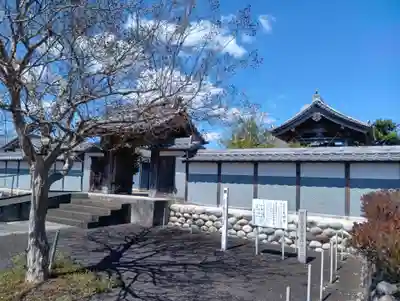大梅寺(岐阜県)