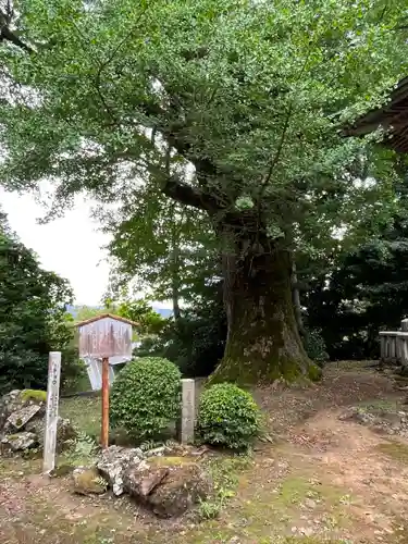 松尾寺(京都府)