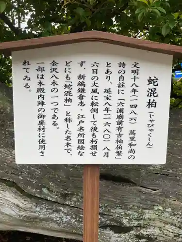 瀬戸神社(神奈川県)