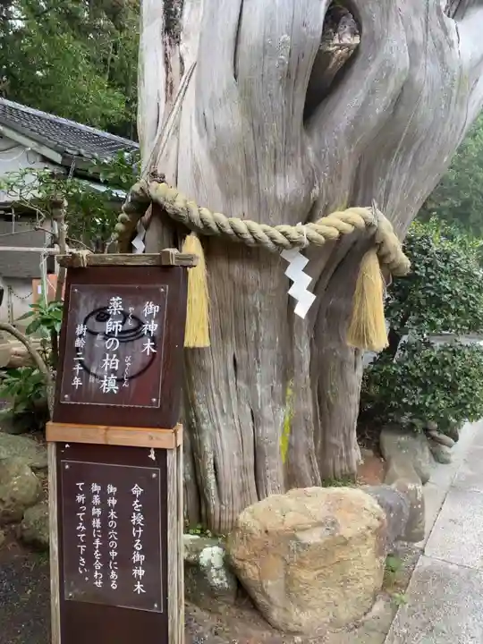 伊古奈比咩命神社の自然