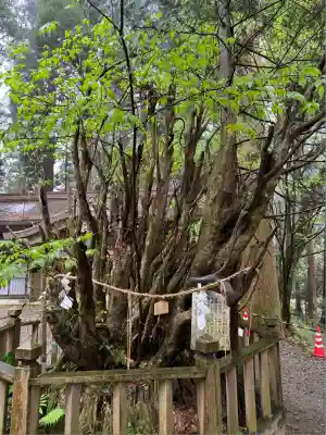 幣立神宮(熊本県)