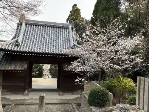 神咒寺の{uncategorized: "未分類", other: "その他", undefined: "問題あり", building: "その他建物", grave: "お墓", sacred_gate: "鳥居", guardian: "狛犬", statue: "像", buddha: "仏像", history: "歴史", nature: "自然", garden: "庭園", animal: "動物", pagoda: "塔", temizu: "手水舎", mountain_gate: "山門・神門", sanctuary: "本殿・本堂", subordinate: "末社・摂社", art: "芸術", scenery: "景色", jizo: "地蔵", ema: "絵馬", goshuin: "御朱印", omikuji: "おみくじ", items: "授与品その他", amulet: "お守り", goshuincho: "御朱印帳", eats: "食事", festival: "お祭り", votive_dance: "神楽", shichigosan: "七五三参", wedding: "結婚式", experience: "体験その他", initially: "初詣", around: "周辺", anti_infection: "感染症対策"}