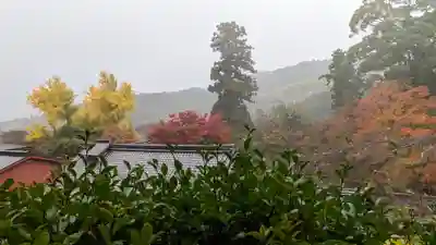 十輪寺(京都府)