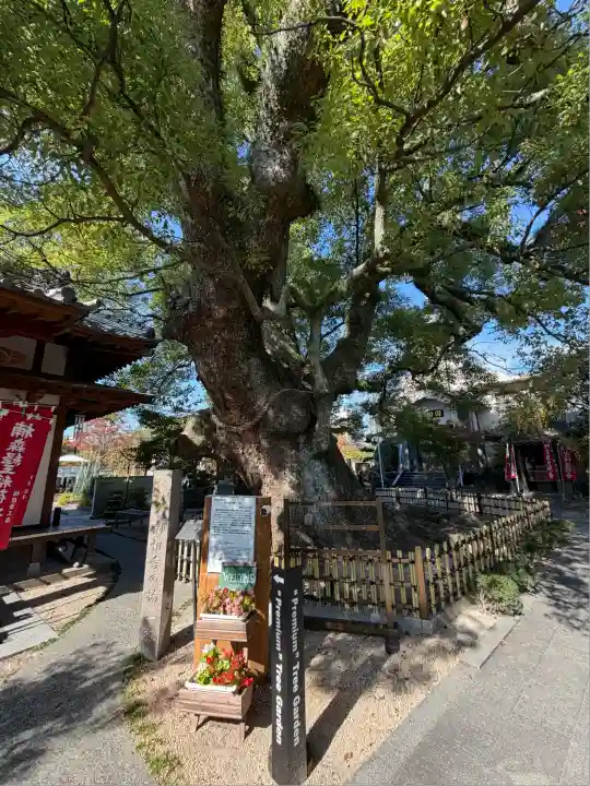 國相寺(佐賀県)