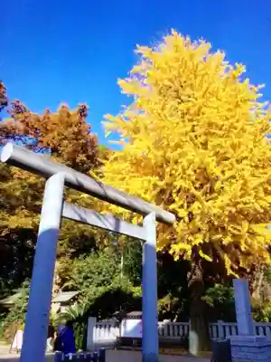 阿佐ヶ谷神明宮(東京都)