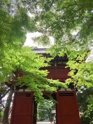本土寺の山門・神門