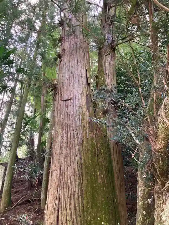 河内神社の自然