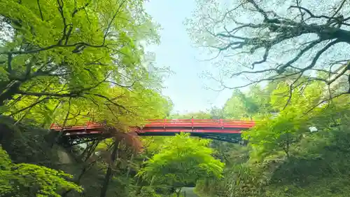 養父神社の建物その他