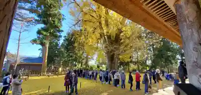 新宮熊野神社(福島県)