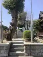 薬師堂(前田西町)・秋葉神社の本殿・本堂