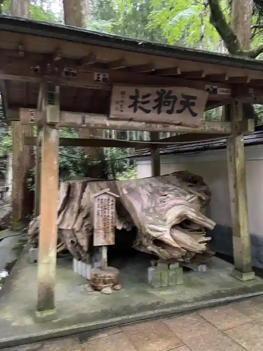 目の霊山 油山寺の自然