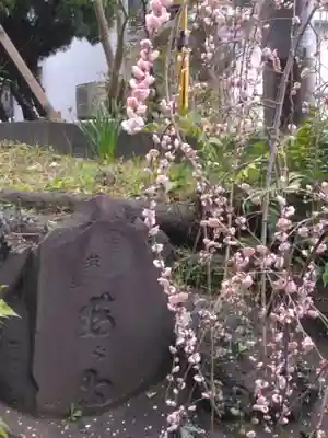 岡村天満宮(神奈川県)