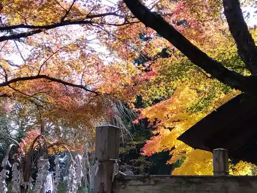 足羽神社(福井県)