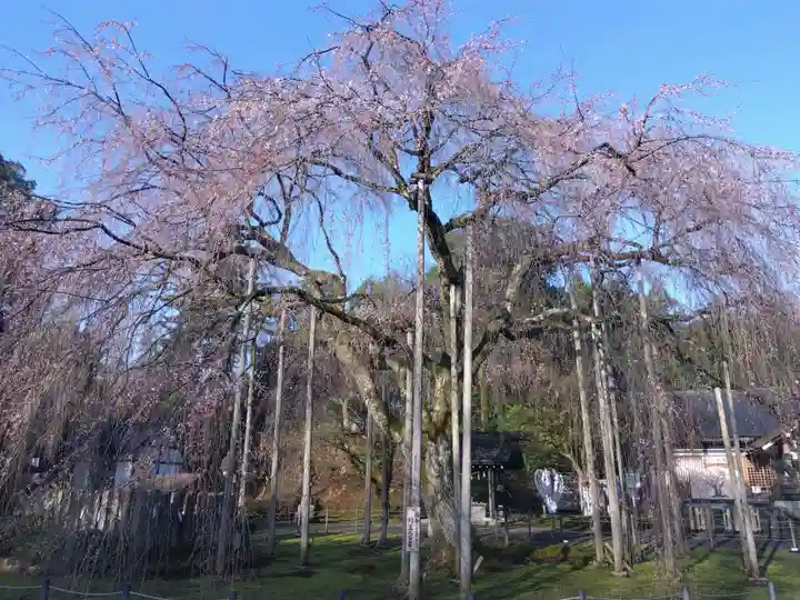 足羽神社(福井県)
