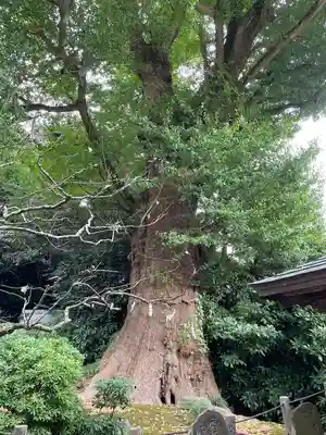 荏柄天神社(神奈川県)