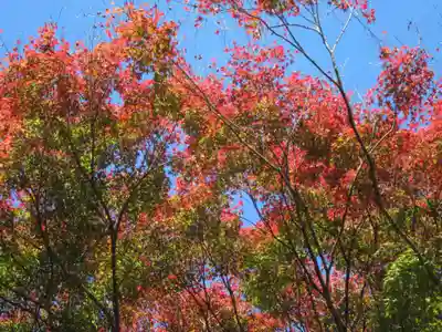俵山八幡宮(山口県)