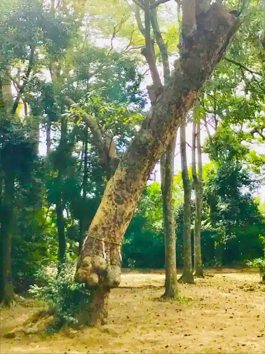 諏訪大神の周辺