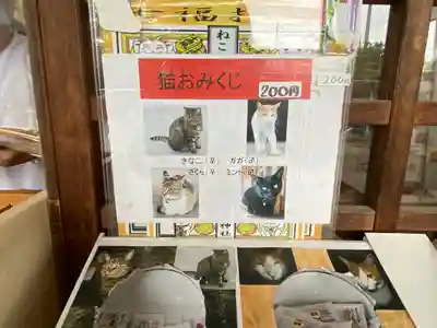 前玉神社のその他建物