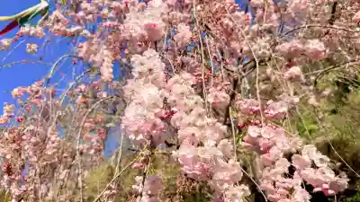 湯の沢神社(北海道)
