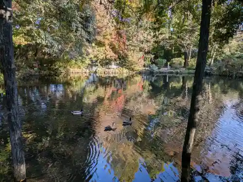 富士山本宮浅間大社(静岡県)