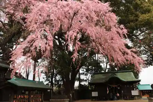 三島八幡神社の本殿