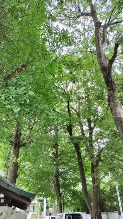 穏田神社(東京都)