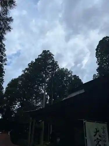 大宮温泉神社(栃木県)