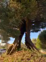 庚申神社(千葉県)