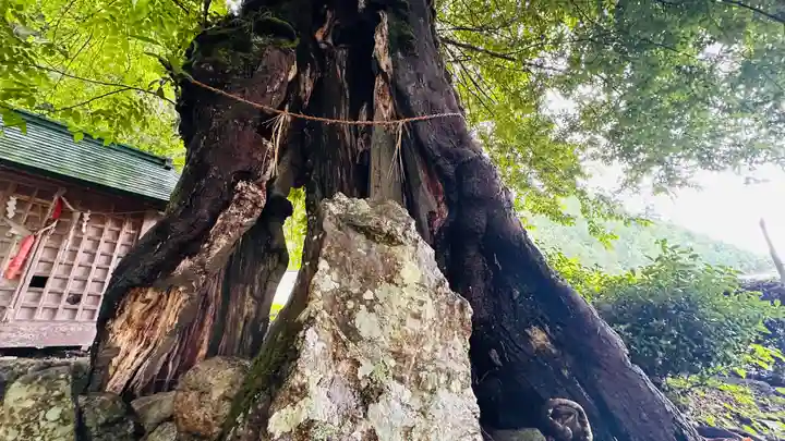 苅田比売神社(福井県)