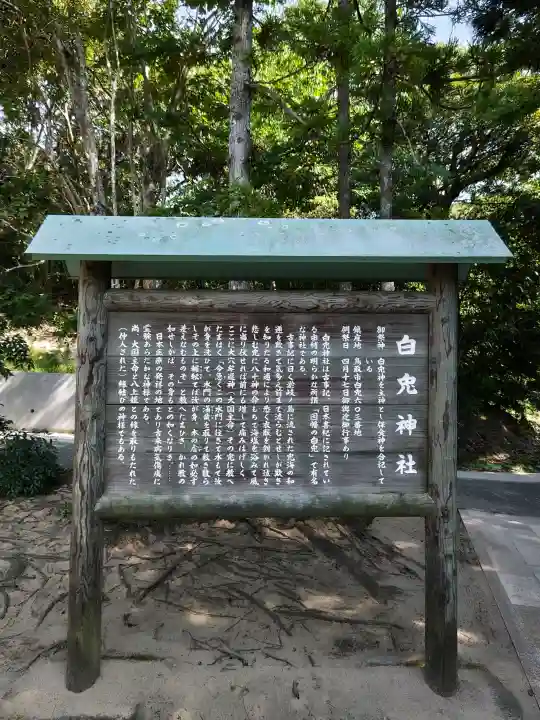 白兎神社(鳥取県)