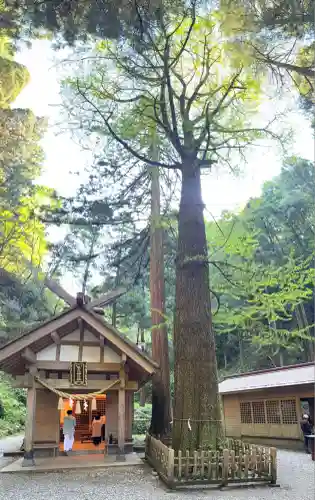 秋元神社(宮崎県)