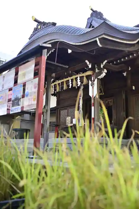 磐井神社の本殿・本堂