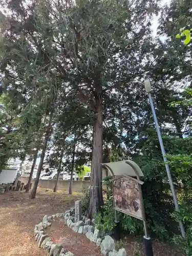 生出塚神社(埼玉県)