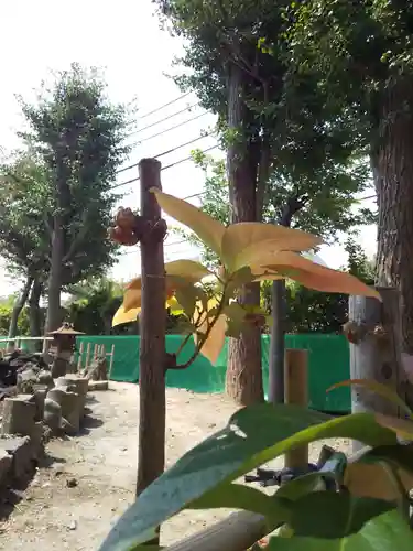 羽田神社の自然