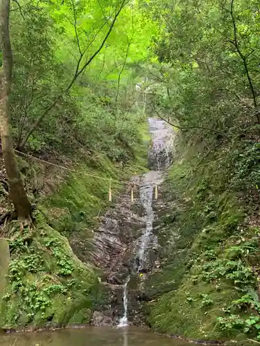 不動教会の自然