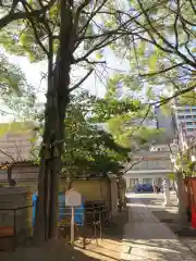 那古野神社の自然