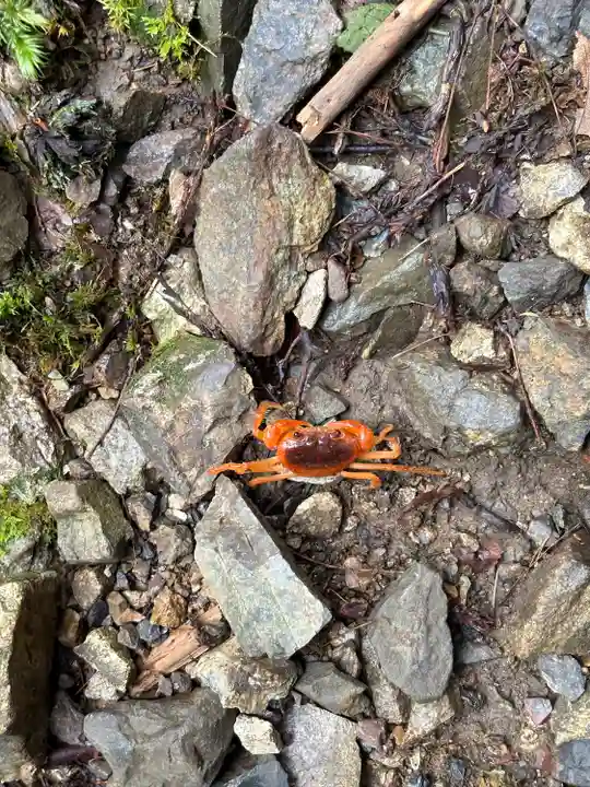 聖神社(高知県)