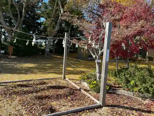 白子神社の{uncategorized: "未分類", other: "その他", undefined: "問題あり", building: "その他建物", grave: "お墓", sacred_gate: "鳥居", guardian: "狛犬", statue: "像", buddha: "仏像", history: "歴史", nature: "自然", garden: "庭園", animal: "動物", pagoda: "塔", temizu: "手水舎", mountain_gate: "山門・神門", sanctuary: "本殿・本堂", subordinate: "末社・摂社", art: "芸術", scenery: "景色", jizo: "地蔵", ema: "絵馬", goshuin: "御朱印", omikuji: "おみくじ", items: "授与品その他", amulet: "お守り", goshuincho: "御朱印帳", eats: "食事", festival: "お祭り", votive_dance: "神楽", shichigosan: "七五三参", wedding: "結婚式", experience: "体験その他", initially: "初詣", around: "周辺", anti_infection: "感染症対策"}