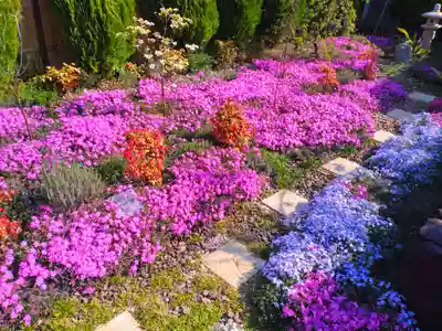 寿量山 速成寺(奈良県)
