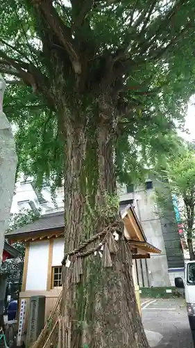 手取天満宮の庭園