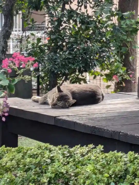 浄心寺(東京都)
