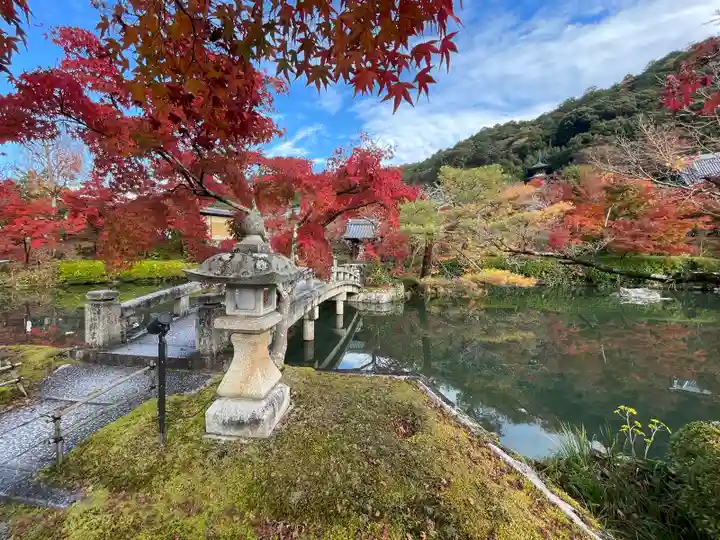 禅林寺(永観堂)(京都府)