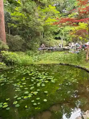 室生寺(奈良県)