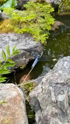 十輪寺(京都府)