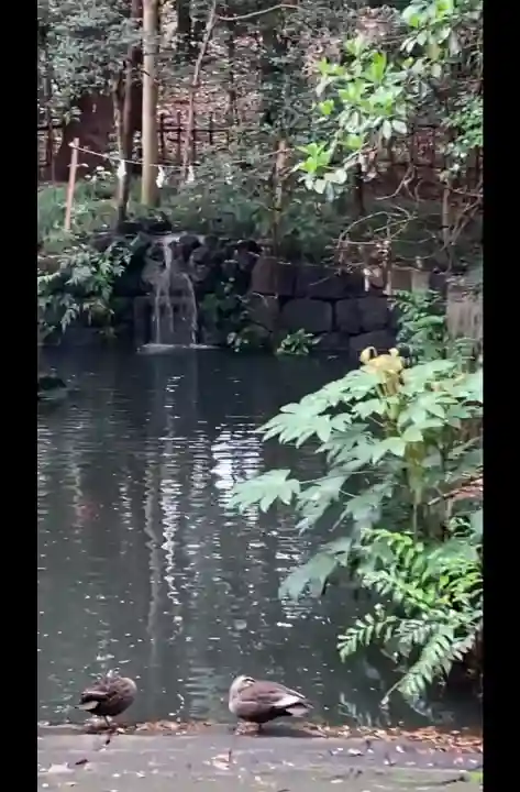 武蔵一宮氷川神社の{uncategorized: "未分類", other: "その他", undefined: "問題あり", building: "その他建物", grave: "お墓", sacred_gate: "鳥居", guardian: "狛犬", statue: "像", buddha: "仏像", history: "歴史", nature: "自然", garden: "庭園", animal: "動物", pagoda: "塔", temizu: "手水舎", mountain_gate: "山門・神門", sanctuary: "本殿・本堂", subordinate: "末社・摂社", art: "芸術", scenery: "景色", jizo: "地蔵", ema: "絵馬", goshuin: "御朱印", omikuji: "おみくじ", items: "授与品その他", amulet: "お守り", goshuincho: "御朱印帳", eats: "食事", festival: "お祭り", votive_dance: "神楽", shichigosan: "七五三参", wedding: "結婚式", experience: "体験その他", initially: "初詣", around: "周辺", anti_infection: "感染症対策"}