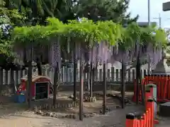 荒井神社の庭園