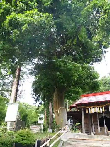思金神社の自然